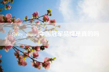 汝州中国冠军品牌是真的吗