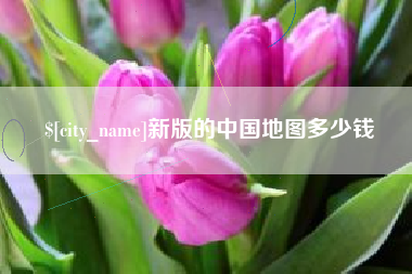 汝州新版的中国地图多少钱