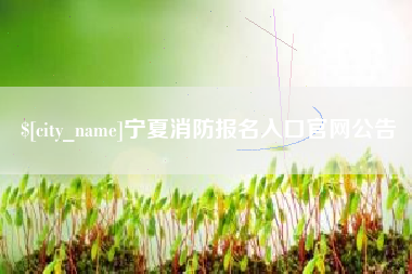 汝州宁夏消防报名入口官网公告