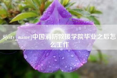 汝州中国消防救援学院毕业之后怎么工作