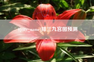 汝州排三九宫图预测