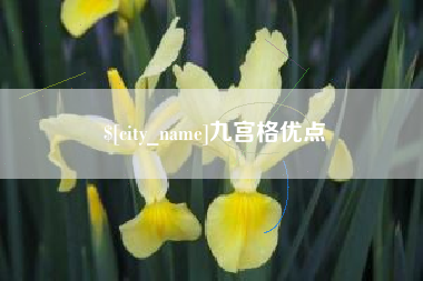 汝州九宫格优点