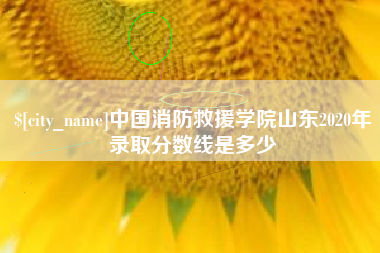 汝州中国消防救援学院山东2020年录取分数线是多少