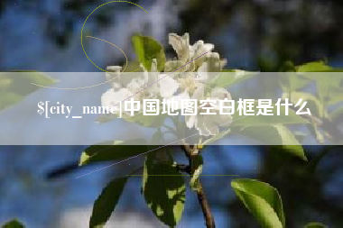 汝州中国地图空白框是什么