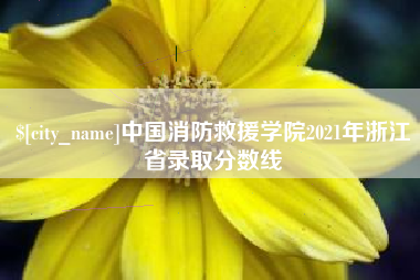 汝州中国消防救援学院2021年浙江省录取分数线