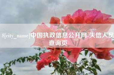 汝州中国执政信息公开网-失信人员查询页