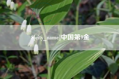 汝州中国第9金