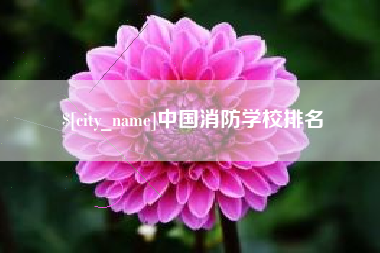 汝州中国消防学校排名