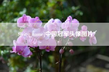 汝州中国冠军头像图片