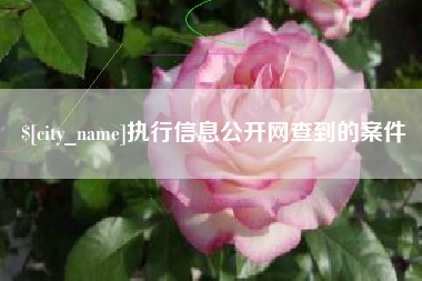 汝州执行信息公开网查到的案件