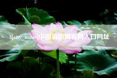 汝州中国消防网官网入口网址