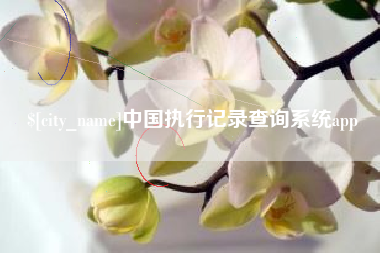汝州中国执行记录查询系统app