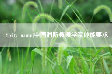 汝州中国消防救援学院体能要求