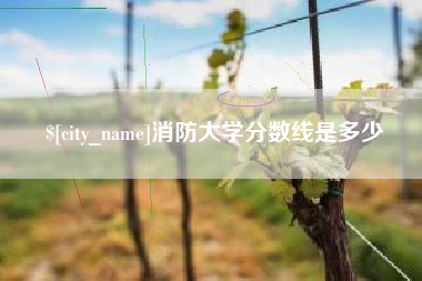 汝州消防大学分数线是多少