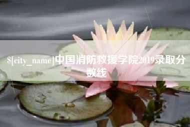 汝州中国消防救援学院2019录取分数线
