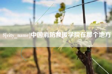 汝州中国消防救援学院在那个地方