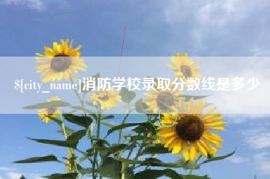 汝州消防学校录取分数线是多少