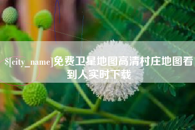 汝州免费卫星地图高清村庄地图看到人实时下载