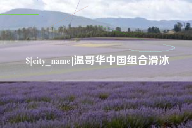 汝州温哥华中国组合滑冰
