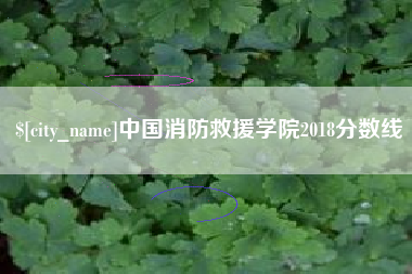 汝州中国消防救援学院2018分数线