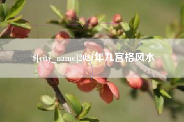 汝州2021年九宫格风水
