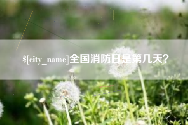 汝州全国消防日是第几天？
