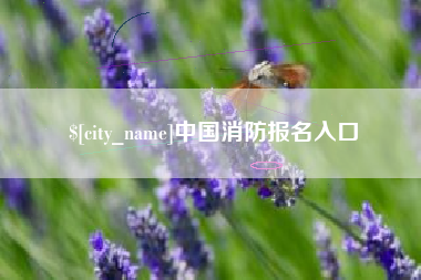 汝州中国消防报名入口
