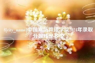 汝州中国消防救援学院2024年录取分数线是多少
