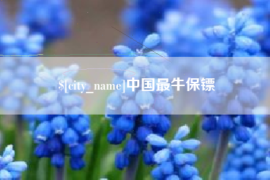 汝州中国最牛保镖