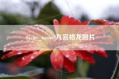 汝州九宫格龙图片