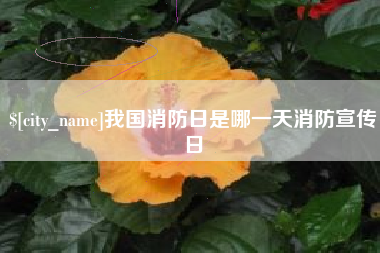 汝州我国消防日是哪一天消防宣传日