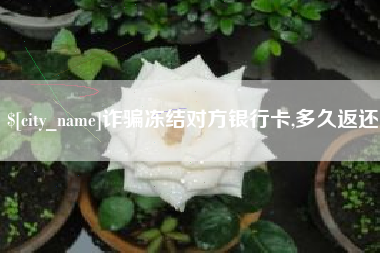 汝州诈骗冻结对方银行卡,多久返还