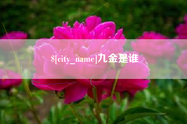 汝州九金是谁