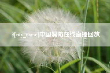 汝州中国消防在线直播回放