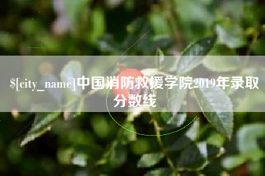 汝州中国消防救援学院2019年录取分数线