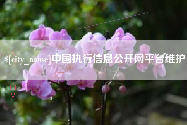 汝州中国执行信息公开网平台维护