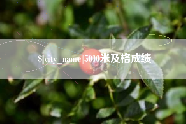 汝州5000米及格成绩