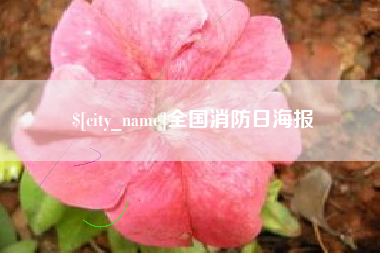 汝州全国消防日海报