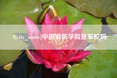 汝州中国消防学院是军校吗