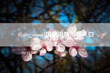 汝州国家消防报名入口