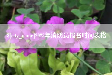 汝州2025年消防员报名时间表格