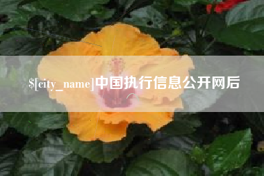 汝州中国执行信息公开网后