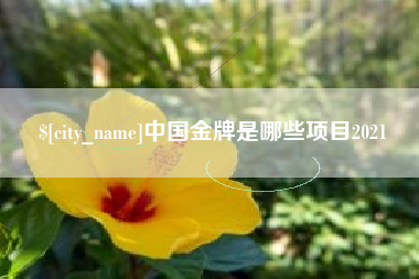汝州中国金牌是哪些项目2021