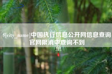 汝州中国执行信息公开网信息查询官网限消中查询不到