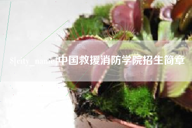 汝州中国救援消防学院招生简章