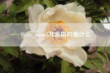 汝州九金指的是什么