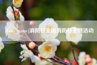 汝州消防日全国消防日主题活动