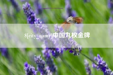 汝州中国九枚金牌