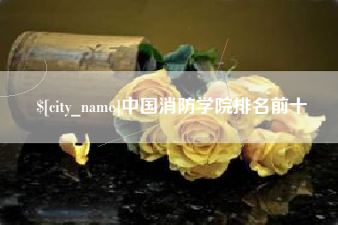 汝州中国消防学院排名前十