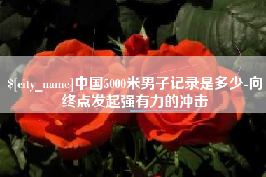 汝州中国5000米男子记录是多少-向终点发起强有力的冲击